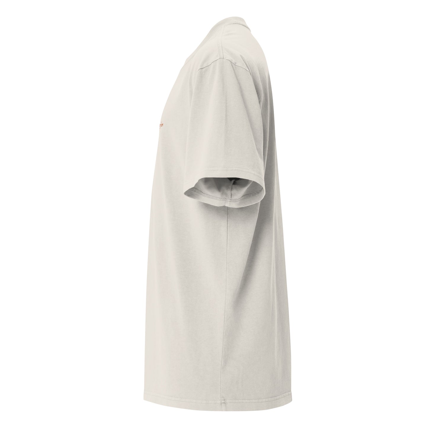 Grumpy Bum (embroidered) - unisex oversized faded t-shirt